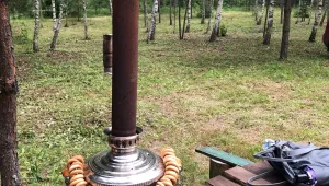 2025.06.24 - Самое высокое дерево. Тверь - 01